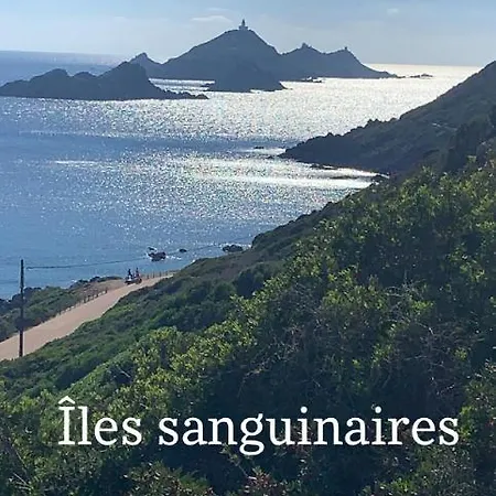 Magnifique Vue Mer, Spacieux Et Traversant Apartment *
